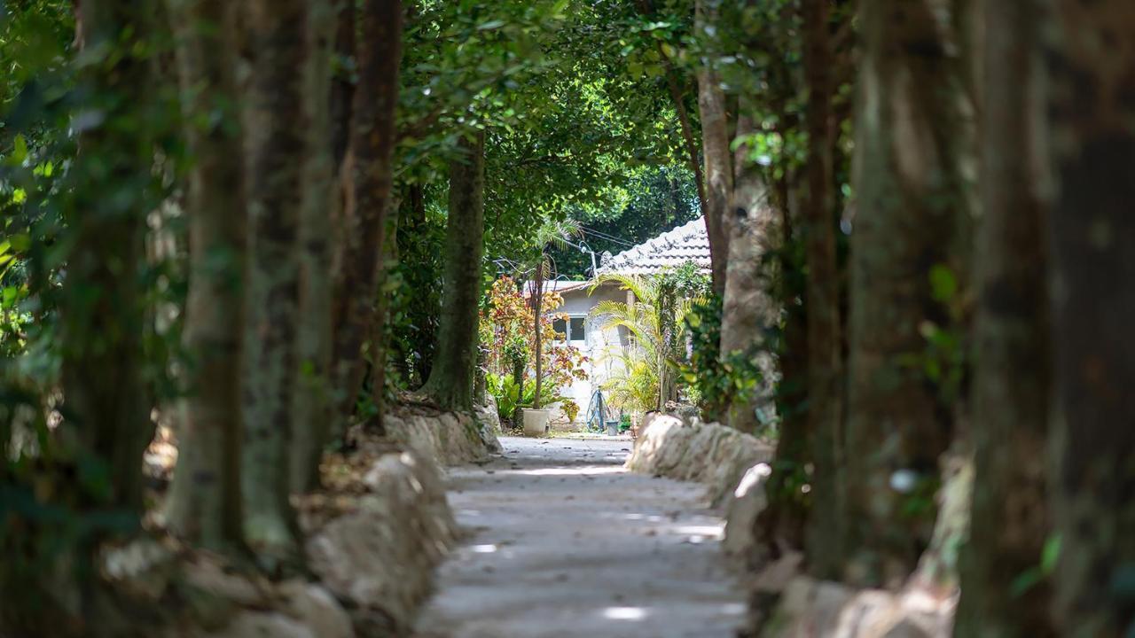 La Ohana～瀬底島～（2022年open） Okinawa Exterior photo